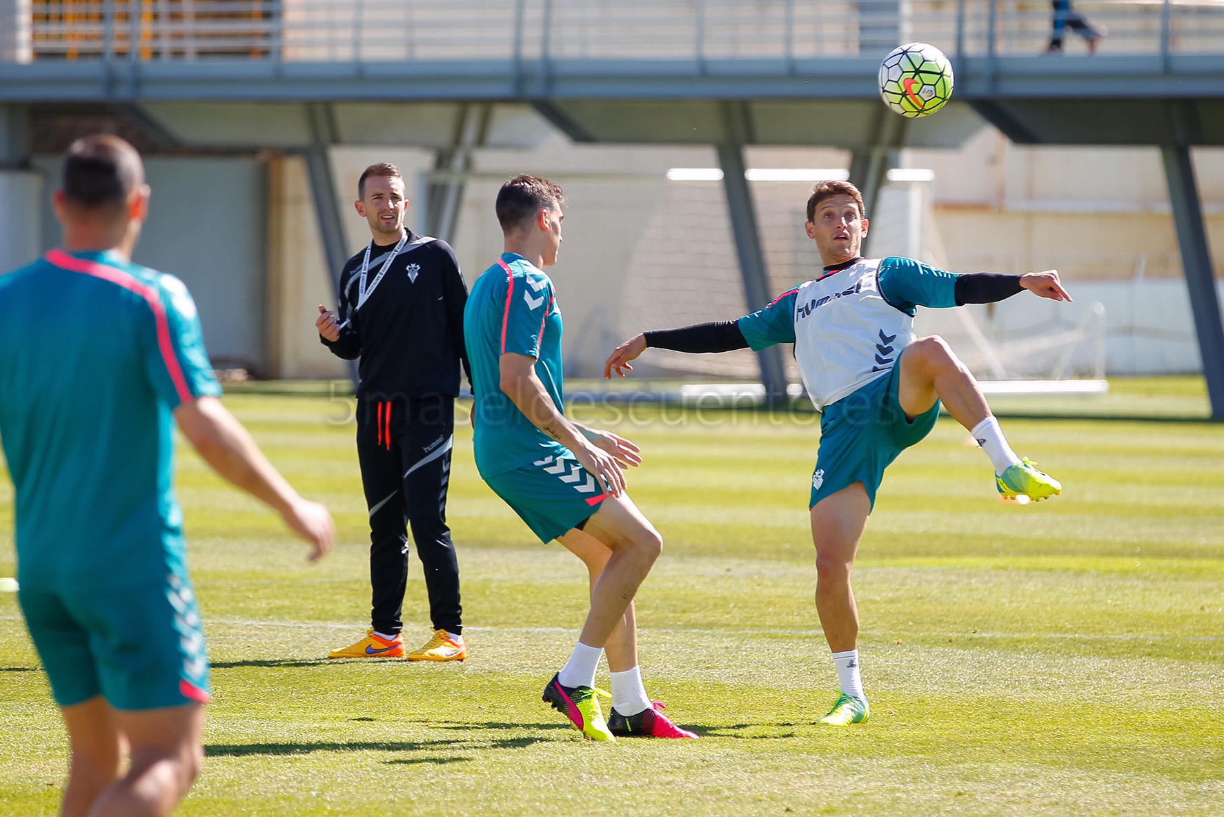 Vuelta a los entrenamientos para preparar la finalísima de Elche | 5 ...